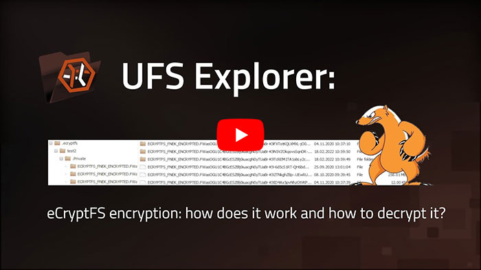 preview image of video tutorial of eCryptfs recovery